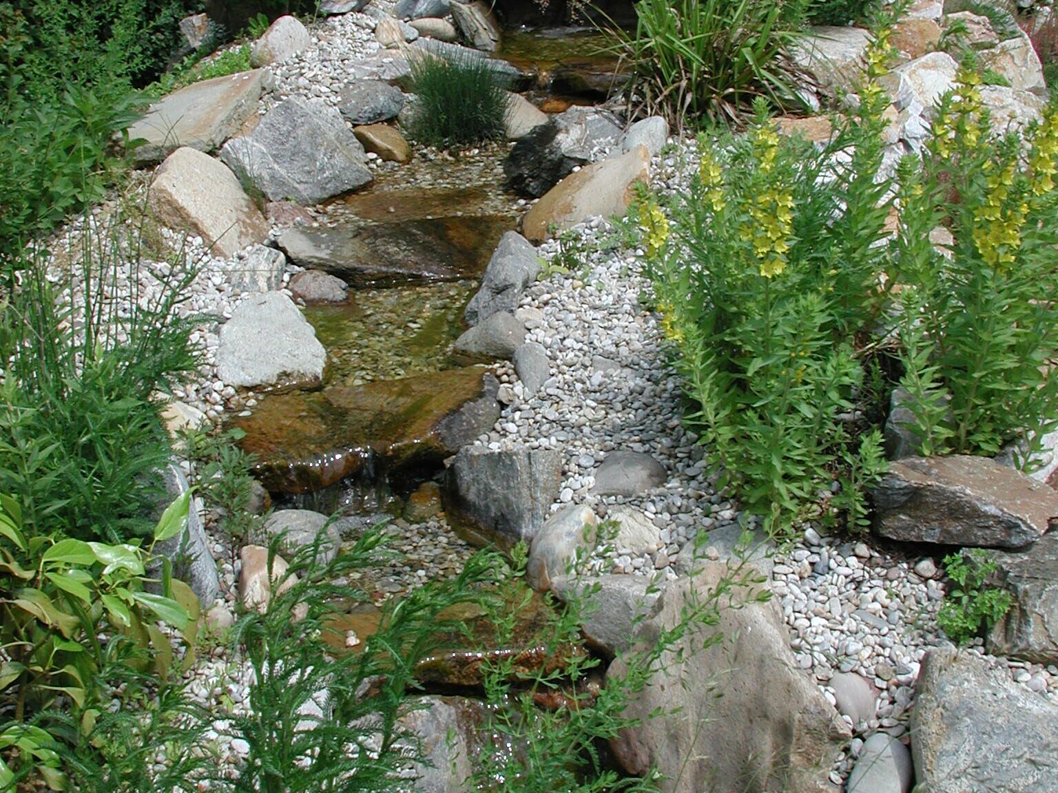 Bachlauf