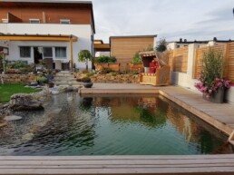 Naturpool in Niederösterreich