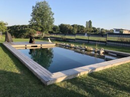 Naturpool auch für Hunde