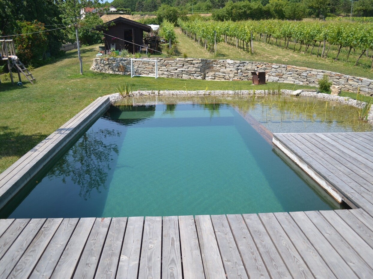 Naturpool Badespaß im klaren Wasser