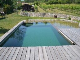 Naturpool Badespaß im klaren Wasser