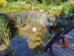Naturpool und Schwimmteich Reinigung