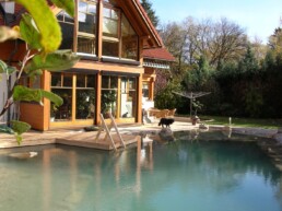 Schwimmteich mit Holzsteg