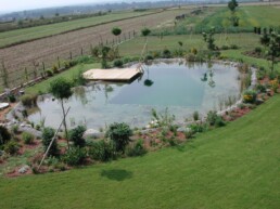 Schwimmteich Gestaltung