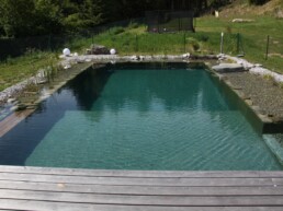 Schwimmteich mit Filter