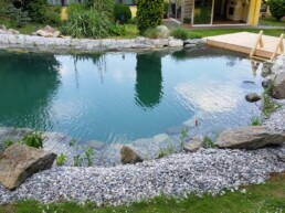 Schwimmteich Badespaß im klaren Wasser