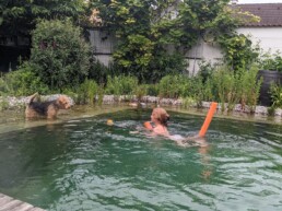 Schwimmteich, auch für Hunde