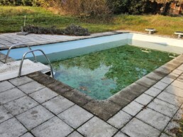 Umbau Chlorpool zum Naturpool