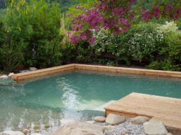 zum Naturpool mit Kiesfilter